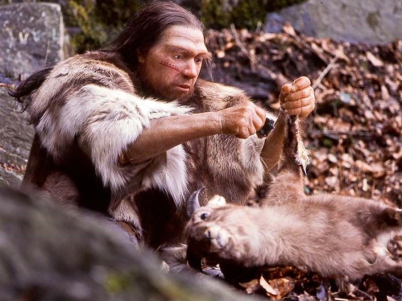 Episode 6: Does it matter that we’re part&nbsp;Neanderthal?