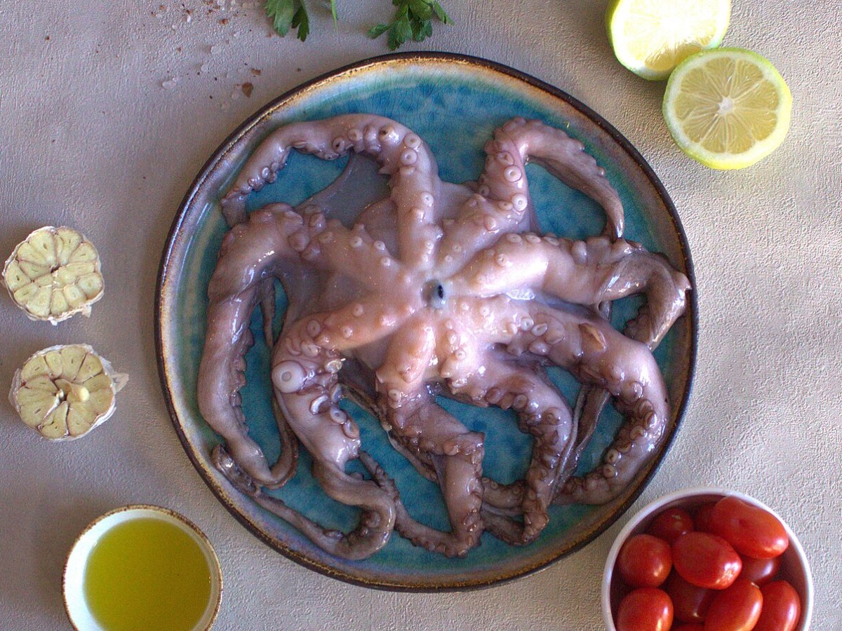 Episode 9: Should we be eating&nbsp;octopus?
