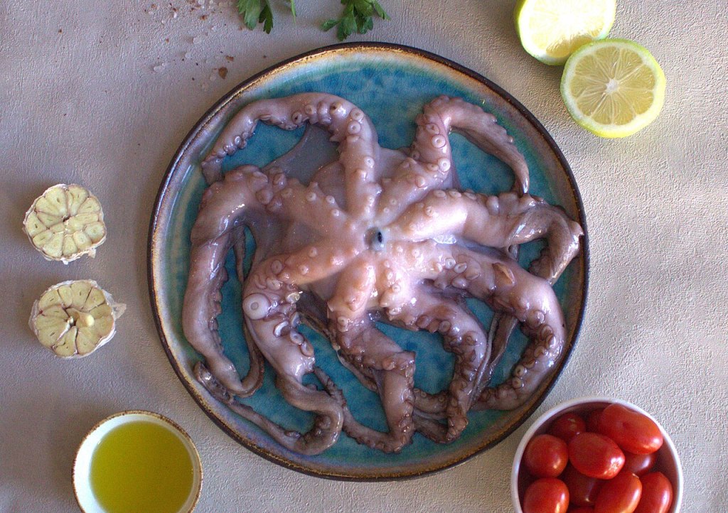 Octopus on a plate - should we eat octopus?