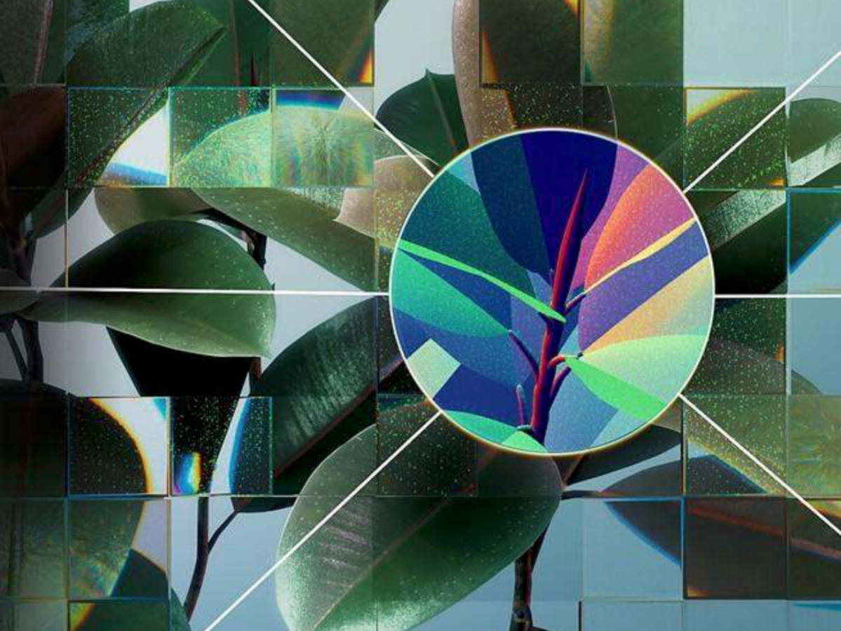 Biology Week special: Will AI protect nature or destroy&nbsp;it?